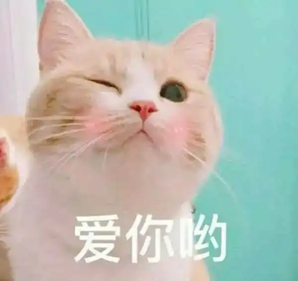 沙雕表情包葬爱家族全家族都对你很失望