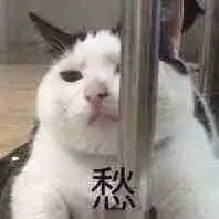 千万不要看4d电影那是人生中最接近弱智的时刻