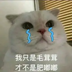 表情包你当我小青蛙不会发怒