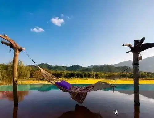 田园综合体中生产性景观的创意玩法