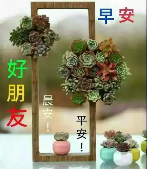 很火的微信群问候大家早上好暖心祝福图片唯美的早上好鲜花图片