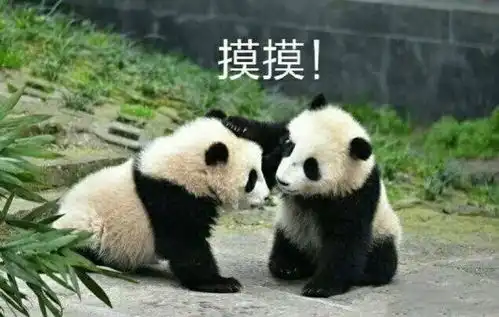 国宝为国宝命名