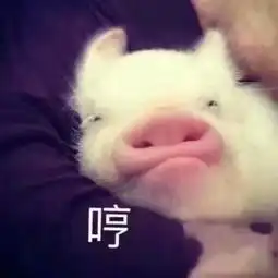 北京方言嗝儿屁竟然来自德语附超搞笑表情包