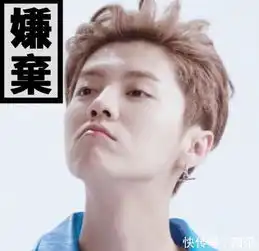 鹿晗演唱会休息喝水,忘记关麦说出有一句话,在场观众由粉转黑