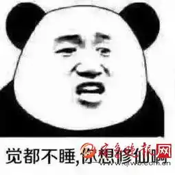 修仙是什么意思什么梗不睡觉你想修仙吗搞笑表情包图片