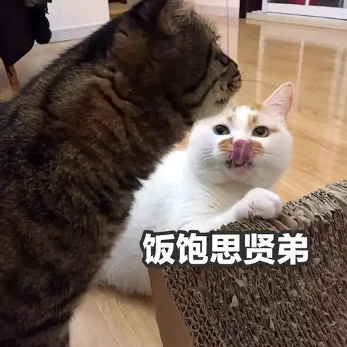 干饭人表情包这就完了