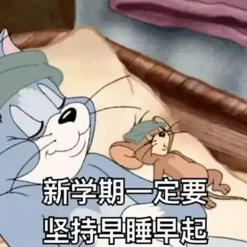 行李箱安排得满满当当