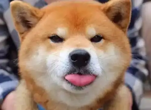 男生总发略略略表情是什么心态