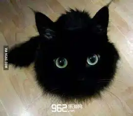 每日搞笑囧图1月1日妹子好漂亮啊,不过总感觉有点儿什么东西不对劲啊完整页