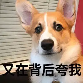 当天才捕手遇到菜鸟猎人仅仅是预告片就足以令人动容