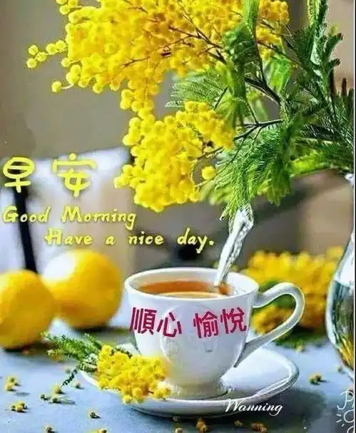 非常漂亮的早上好图片,早晨好幸福暖心的问候图片