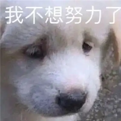 微信必备的斗图沙雕表情精选合集遇到困难睡大觉搞笑表情2021