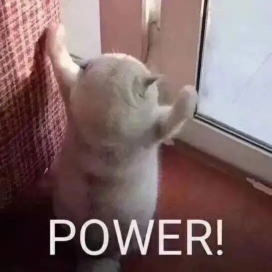 世界就是由推理构成的