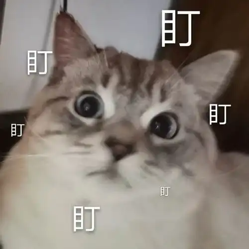 搞笑表情包图片面对如此窘境,还满脸写着开心