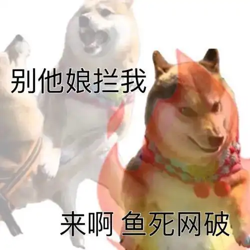 好玩的表情包每日臂部运动