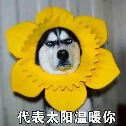嘉兴已于2月28日入春,未来晴雨转换频繁