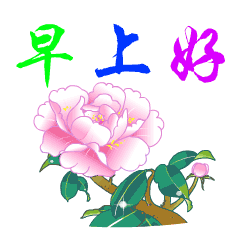 早安问好的句子早上好问候语带图片