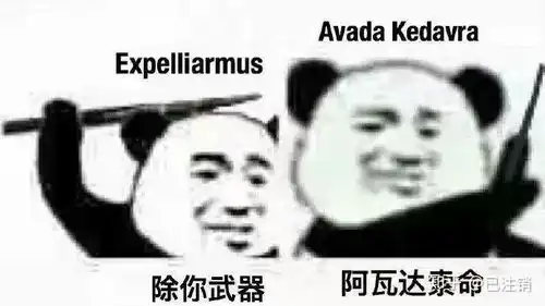 当刘谦和哈利波特相遇会发生什么故事
