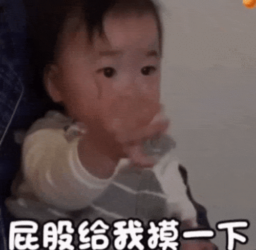 今日份表情包