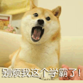 搞笑萌宠