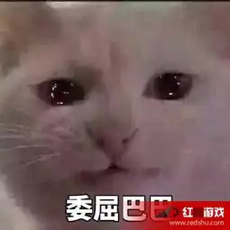 委屈巴巴猫表情包图片有个很委屈的委屈巴巴猫表情包