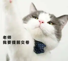 萌猫高能搞笑表情包高考来了