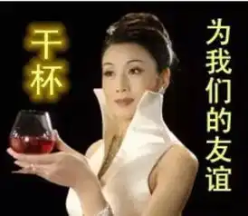 一猫卡在下水道众猫热心围观,流浪猫的塑料花姐妹情
