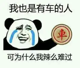 我也是有车的人可我为什么辣么难过搜狐搞笑搜狐网