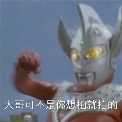 既沙雕又可爱的搞怪聊天表情包现在又两只单身狗在对视