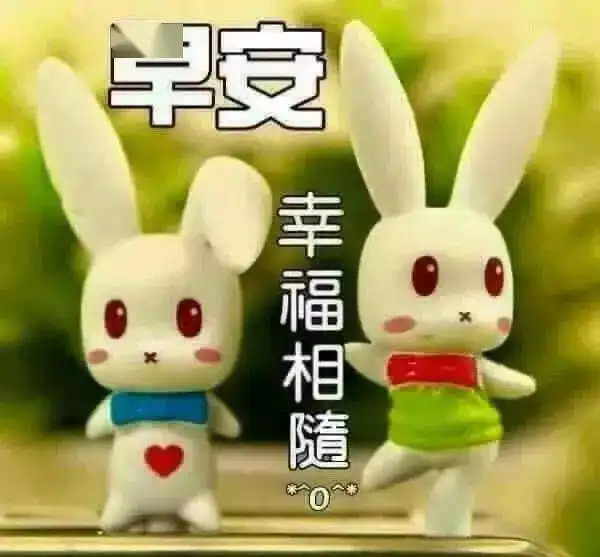 微信问候早上好图片带字动态表情早上好图片问候祝福语句子