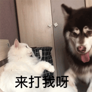 表情包丨超搞笑的表情包