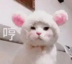 做梦哭醒了,梦见了男朋友的前女友,太真实了
