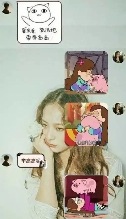 对方不和想你聊天,并给你丢了一个表情包