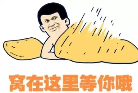 情人节没有人和你过别忘了还有我