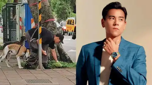 彭于晏街头遛狗,为爱犬捡排泄物画面搞笑,亲力亲为被赞接地气