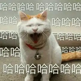 做一个合格的睫毛精选对睫毛膏,眼睛放大两倍