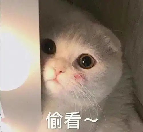 最低5今天福州人终于穿上了这个