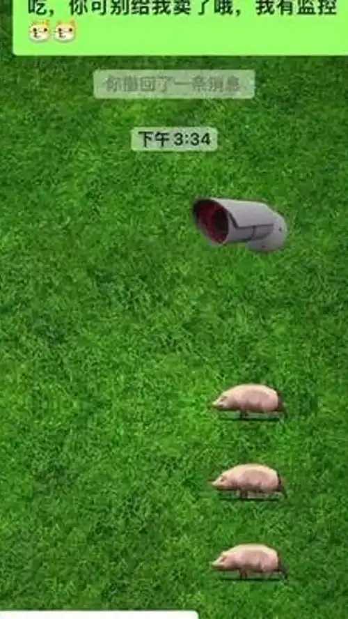快过年了,大家来一起养猪了搞笑表情包养猪表情包