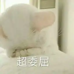 猫咪委屈粑粑表情包