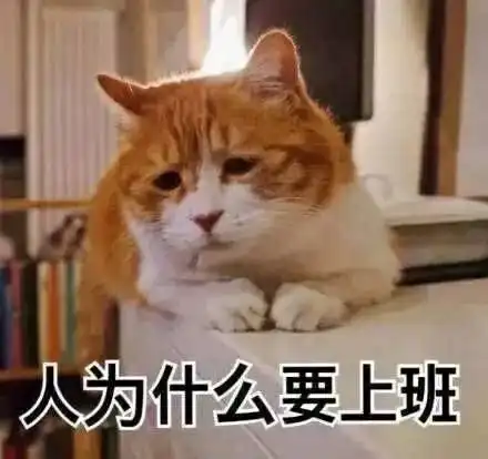 有哪些非常搞笑的动物表情包