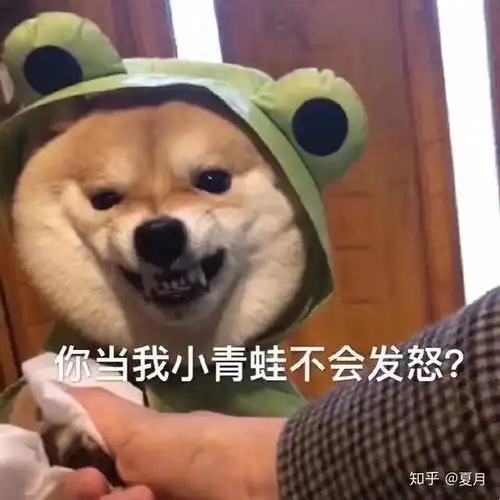你是不是还在为日语写作而困扰呢教你一招不用怕哦