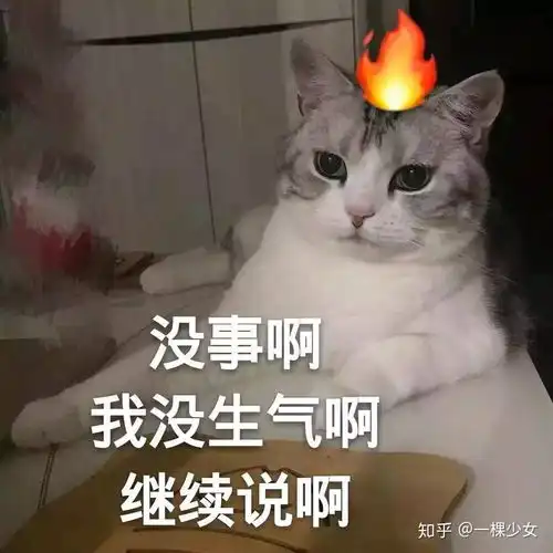 你们撩对象都用什么表情包啊