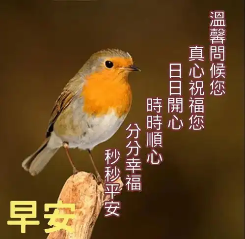 最新早上好动态图表情祝福语秋天早安发朋友的祝福语录句子