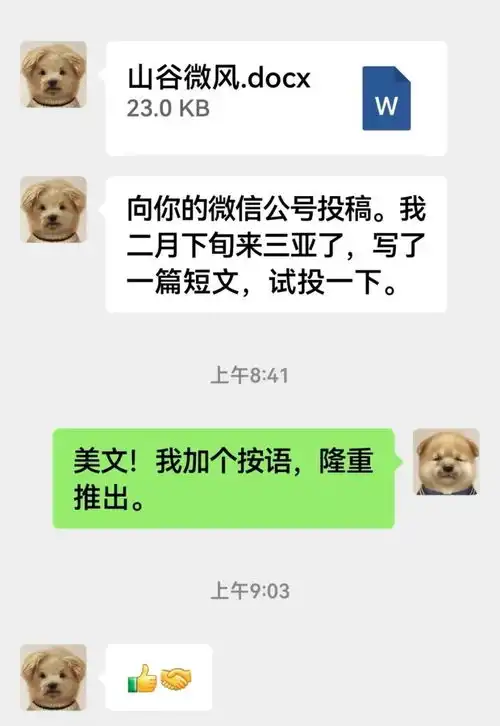 余华否认用潦草小狗做微信头像p上去的