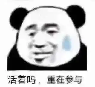 测试一个超长简介的文章