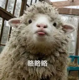一条全是聊天常用的表情包,都是新图