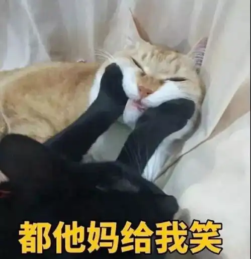 当朋友给你分享一个搞笑视频,我该给他什么反应