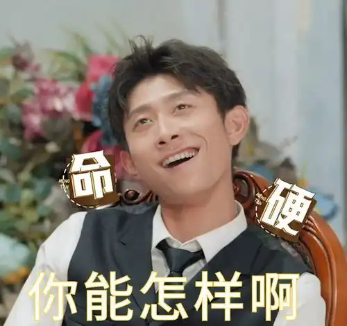 说好的明星的表情自我管理呢在萌探2完全不成立,全是表情包