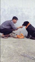 搞笑gif图挺好看的一个妹子,为什么眼中没有了光芒