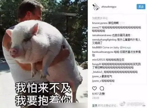 周冬雨在ins表现也是一股泥石流逗逼自黑加表情包